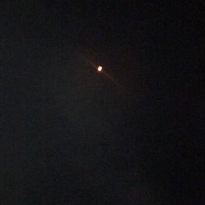 Meet your Posher, Corey